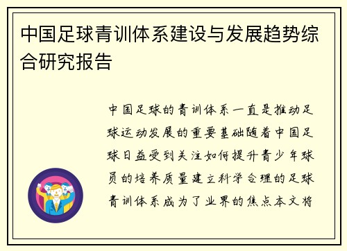 中国足球青训体系建设与发展趋势综合研究报告